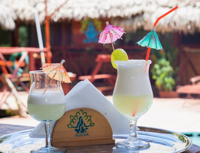 Avatar Amazon Lodge & Canopy Park