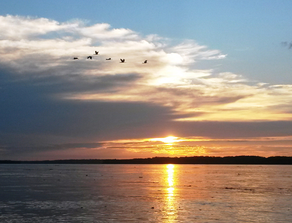 Avatar Amazon Lodge & Canopy Park