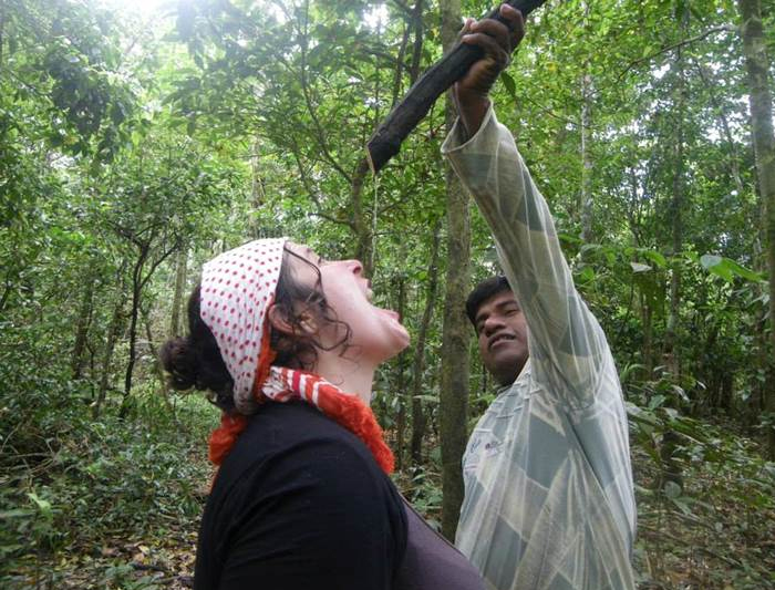 Avatar Amazon Lodge & Canopy Park