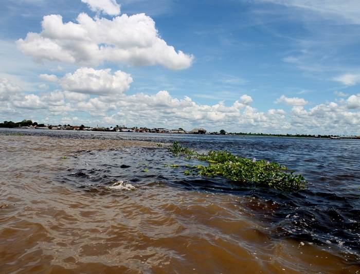 Avatar Amazon Lodge & Canopy Park