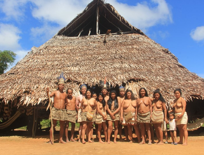 Avatar Amazon Lodge & Canopy Park
