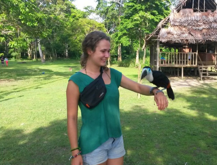 Avatar Amazon Lodge & Canopy Park