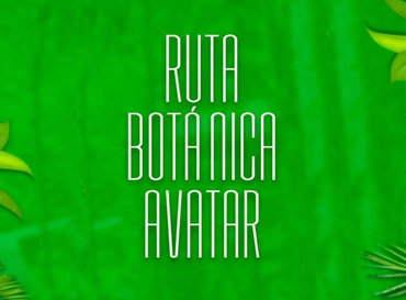 Ruta Botánica Avatar: Descubriendo la Riqueza Arbórea de la Amazonía