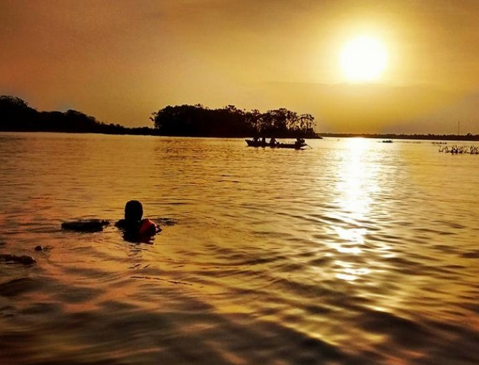 Avatar Amazon Lodge & Canopy Park