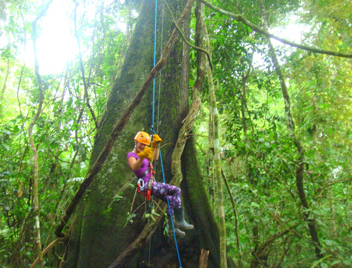Avatar Amazon Lodge & Canopy Park