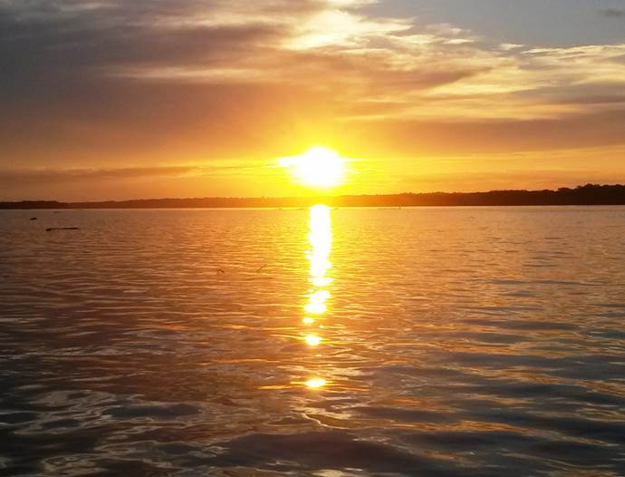 Avatar Amazon Lodge & Canopy Park