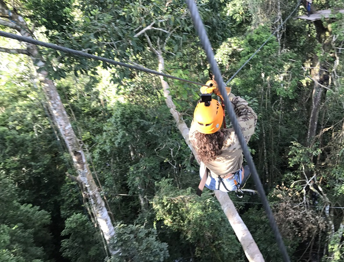 Avatar Amazon Lodge & Canopy Park