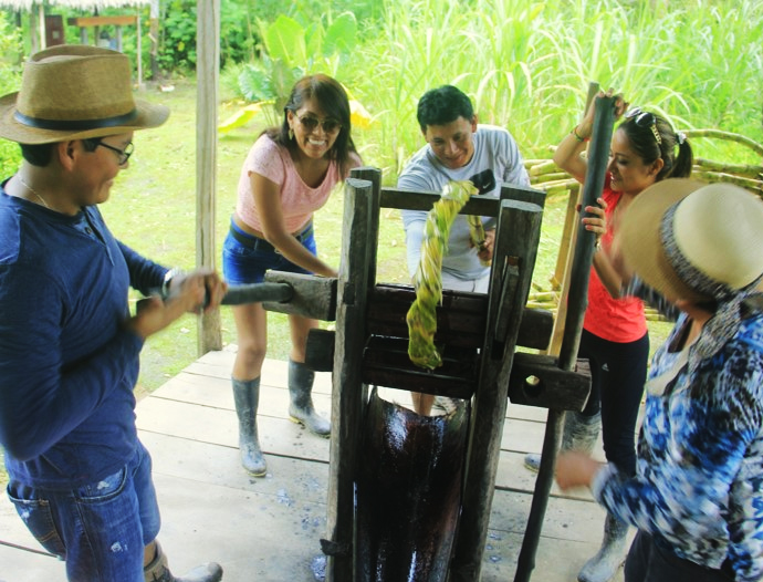 Avatar Amazon Lodge & Canopy Park
