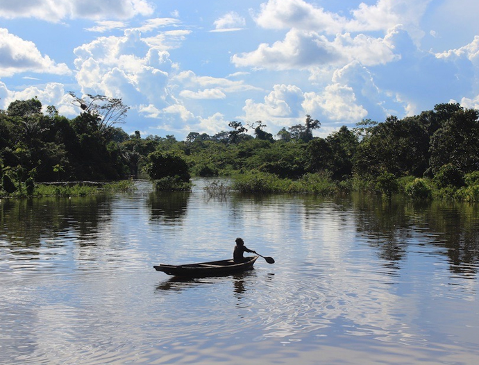 Avatar Amazon Lodge & Canopy Park