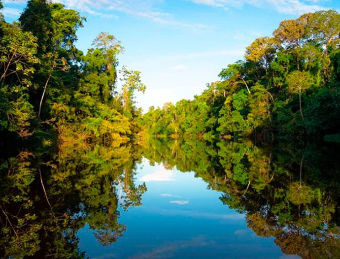 Avatar Amazon Lodge & Canopy Park