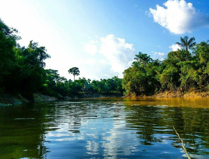 Avatar Amazon Lodge & Canopy Park