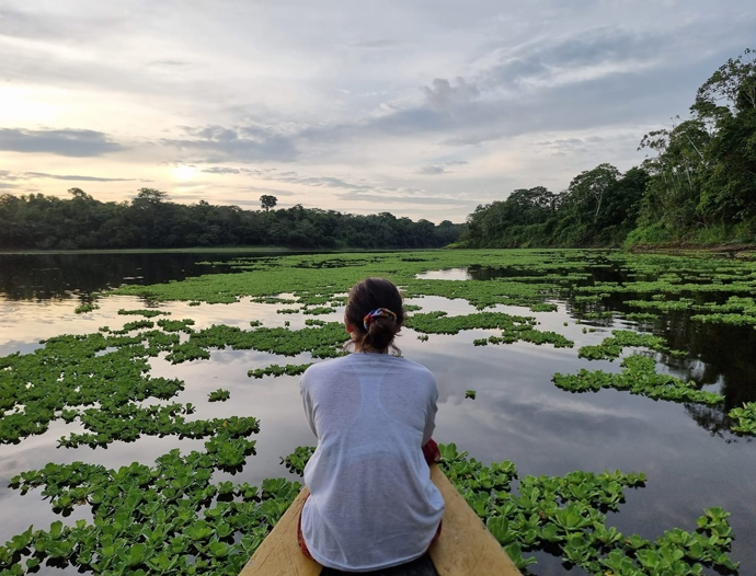 Avatar Amazon Lodge & Canopy Park