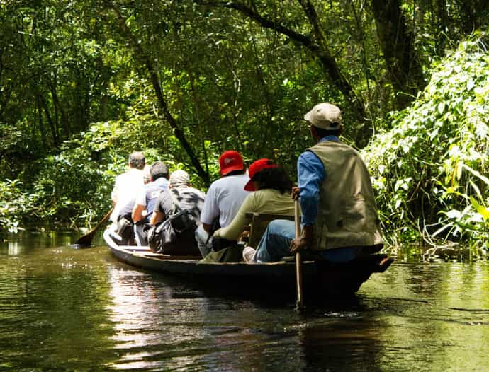 Avatar Amazon Lodge & Canopy Park