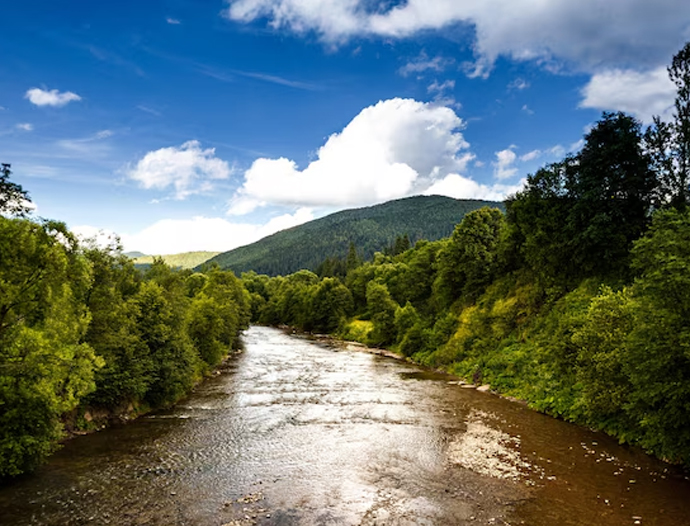 Avatar Amazon Lodge & Canopy Park