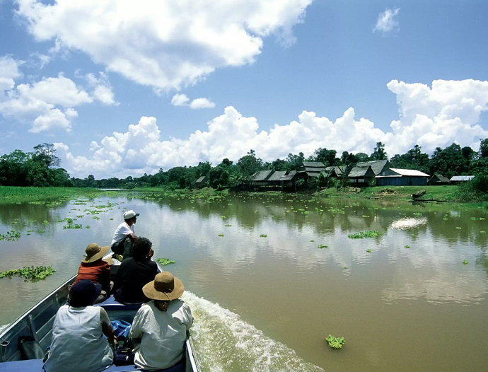 Avatar Amazon Lodge & Canopy Park