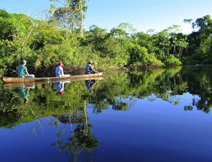 Avatar Amazon Lodge & Canopy Park