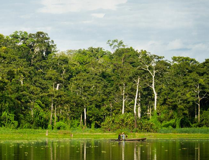 Avatar Amazon Lodge & Canopy Park
