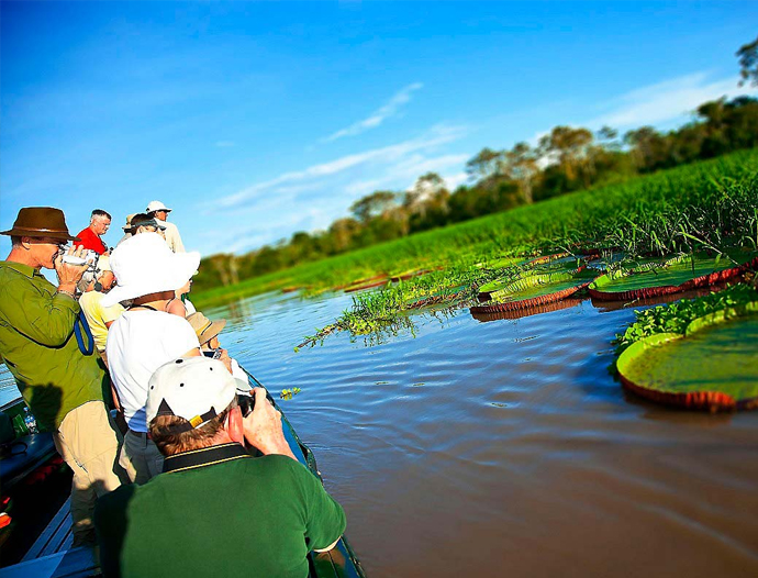 Avatar Amazon Lodge & Canopy Park