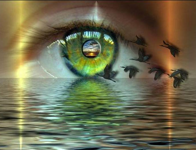 Avatar Amazon Lodge & Canopy Park