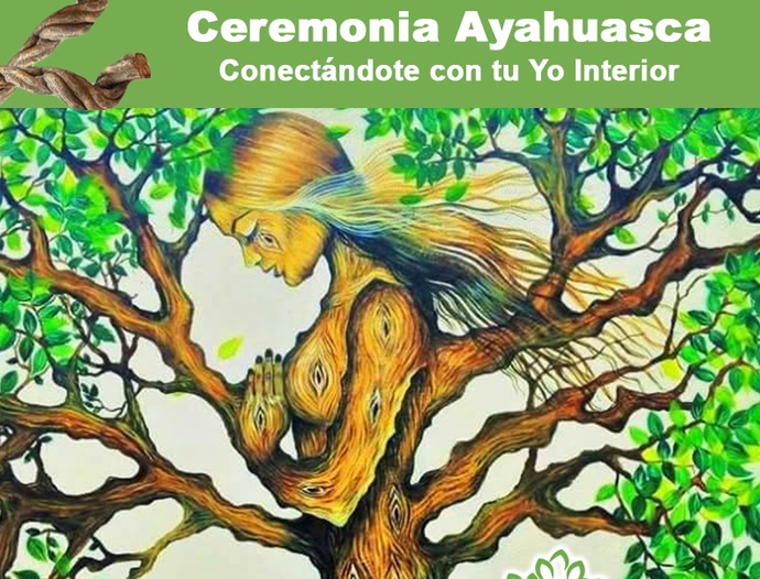 Avatar Amazon Lodge & Canopy Park