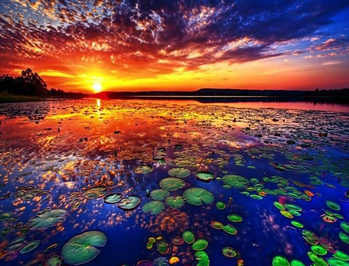 Avatar Amazon Lodge & Canopy Park