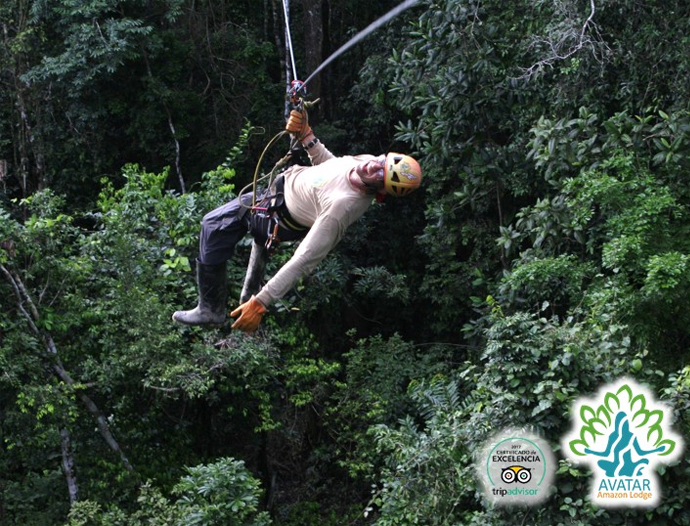 Avatar Amazon Lodge & Canopy Park