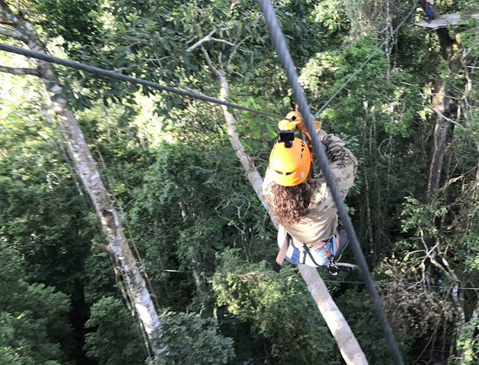Avatar Amazon Lodge & Canopy Park