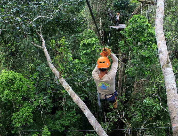 Avatar Amazon Lodge & Canopy Park