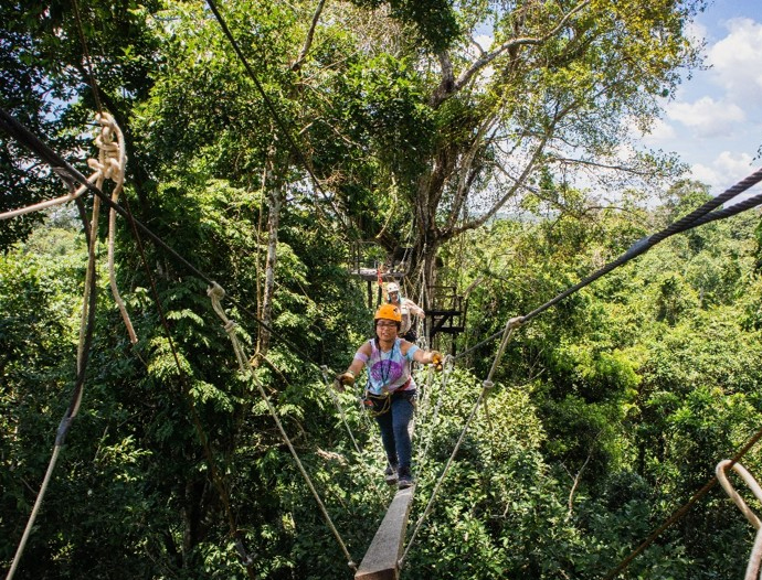 Avatar Amazon Lodge & Canopy Park
