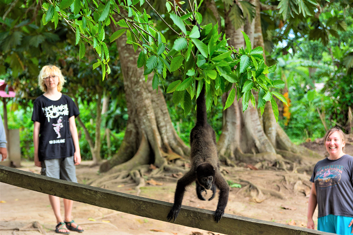 Avatar Amazon Lodge & Canopy Park