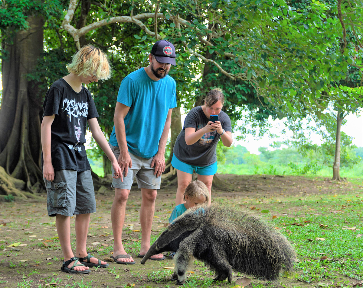 Avatar Amazon Lodge & Canopy Park