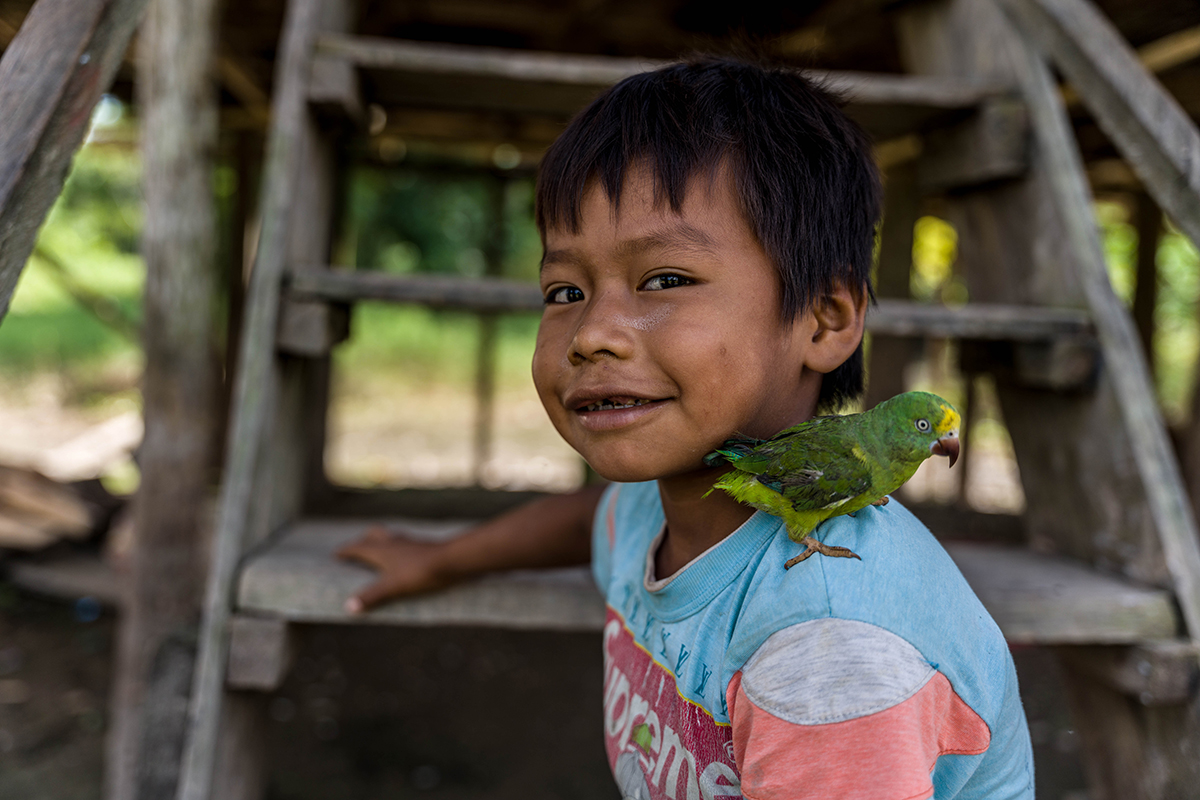 Avatar Amazon Lodge & Canopy Park