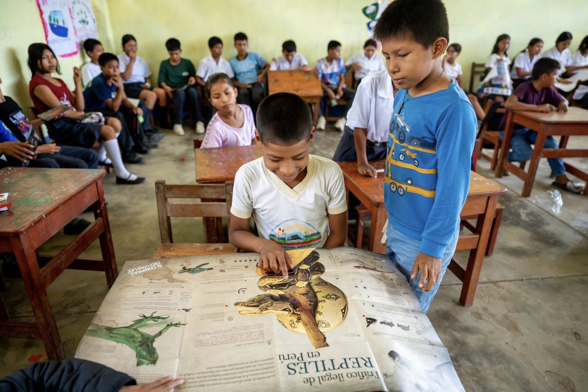 Guardianes de la vida silvestre: Cuida tu fauna