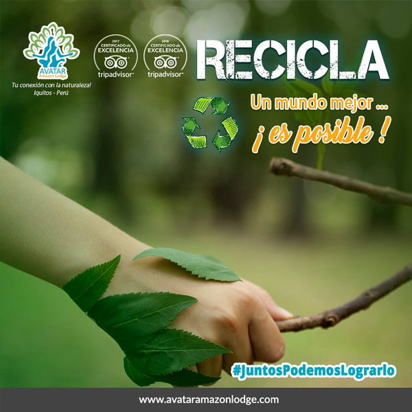 Consciencia Verde: Sensibilizando para un Futuro Sostenible