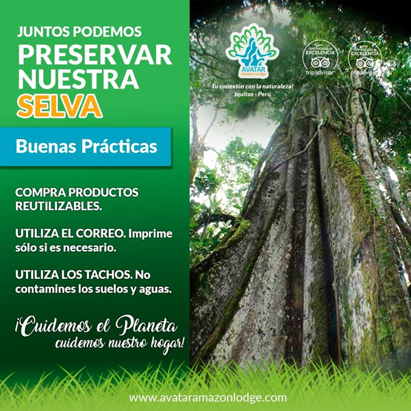 Consciencia Verde: Sensibilizando para un Futuro Sostenible