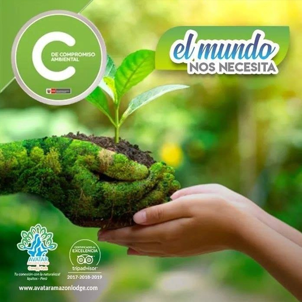 Consciencia Verde: Sensibilizando para un Futuro Sostenible