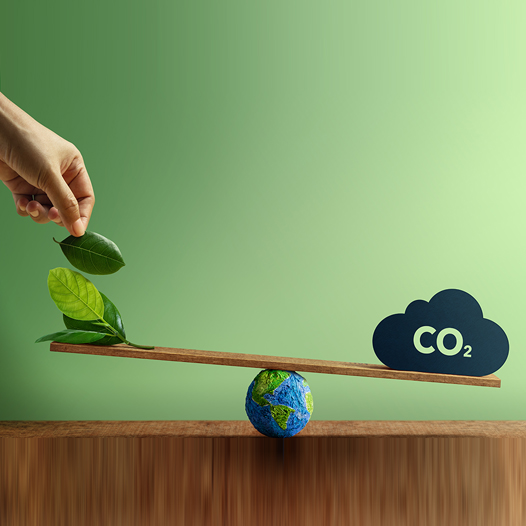 Nuestro Impacto, Nuestra Responsabilidad: Reduciendo la Huella de Carbono