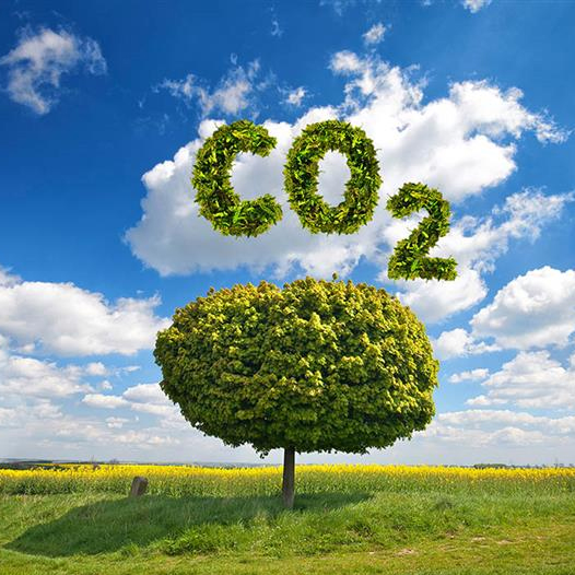 Nuestro Impacto, Nuestra Responsabilidad: Reduciendo la Huella de Carbono