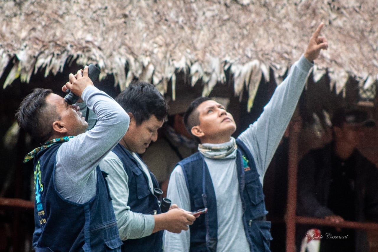 Caminos de Plumas: Educación y Conservación de nuestas aves