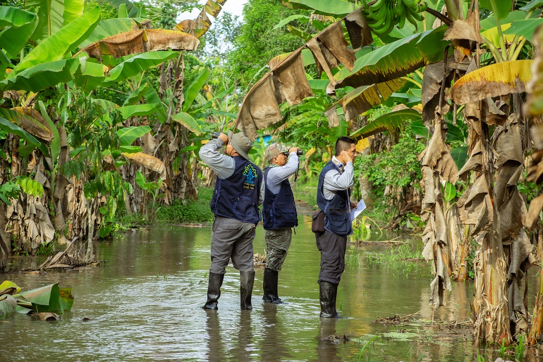 Caminos de Plumas: Educación y Conservación de nuestas aves